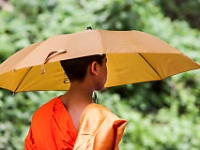 2015-04-27-6102 web 240 Laos Monks Luang Prabang